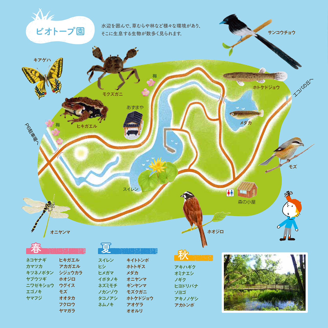 ビオトープ園マップ