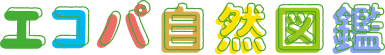 エコパ自然図鑑