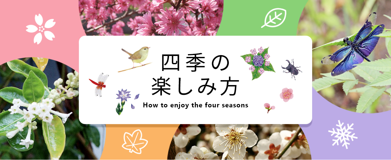 四季の楽しみ方
