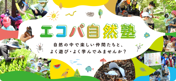 エコパ自然塾 画像
