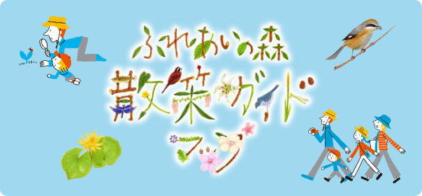 ふれあいの森散策ガイドマップ 画像