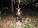 エコパ自然塾2024 3回目 ～夜のエコパも昆虫パラダイス！～